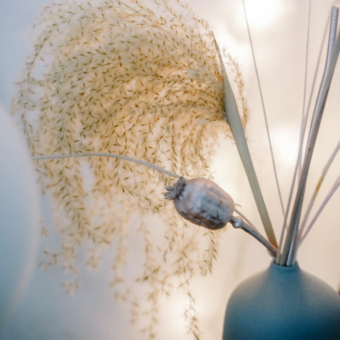 maljakko, jossa kuivakukkia